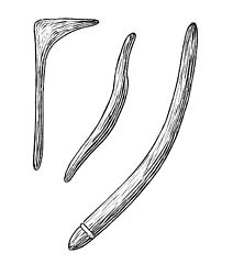 Imatge relacionada amb bumerang