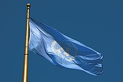 Imatge relacionada amb bandera