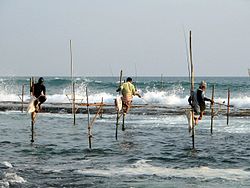 Imatge relacionada amb pesca